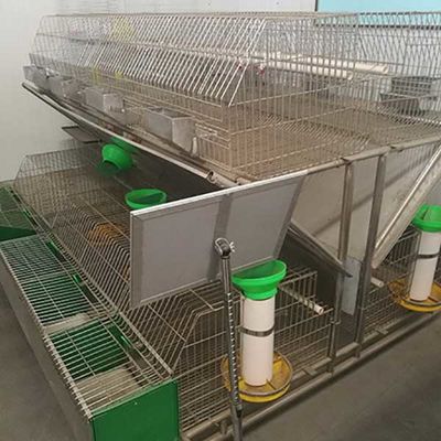 Выпивать клетки кролика фермы высокой эффективности анти- гальванизированный корозией поверхностный легкий