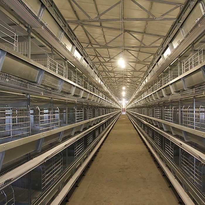 Автоматическая система клетки слоя яйца цыпленка батареи оборудования сельского хозяйства птицы слоя