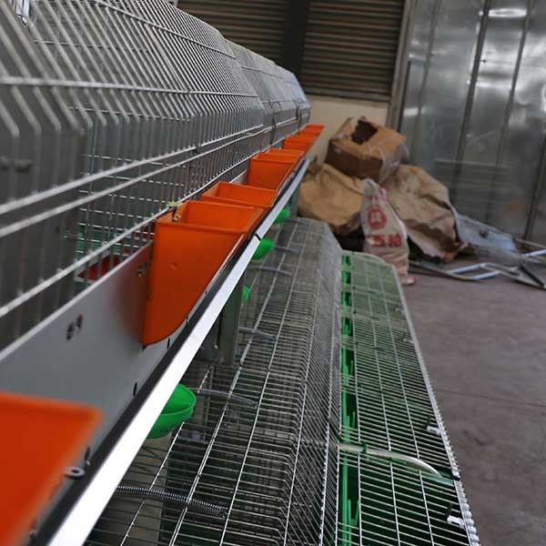 Обслуживание большого автоматического представления клетки кролика фермы чистки стабилизированного легкое