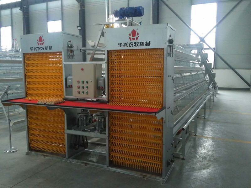 Henan Huaxing Poultry Equipments Co.,Ltd. производственная линия завода
