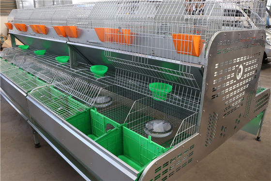 Клетка автоматическое выпивая Cleaing кролика фермы оборудования Q235 птицы