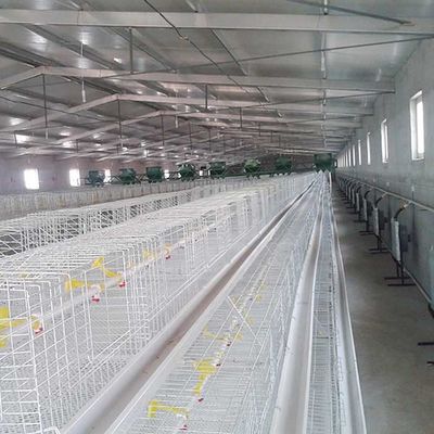 Дружелюбное длинной продолжительности жизни клетки цыпленка бройлера высокой эффективности экологическое
