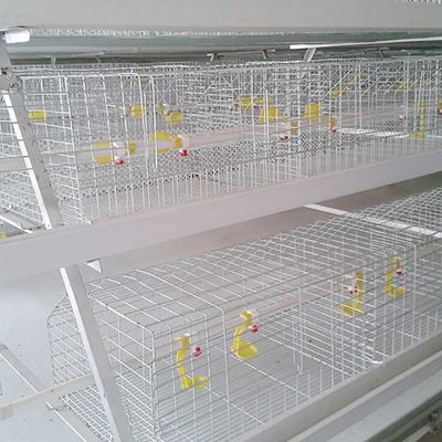Огнеупорная стальная клетка для цыпленка, крытая птица клетки фермы бройлера расквартировывает