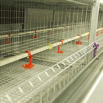 Высокая эффективность дверей твердой стальной клетки цыпленока младенца К235 Мулти для фермы
