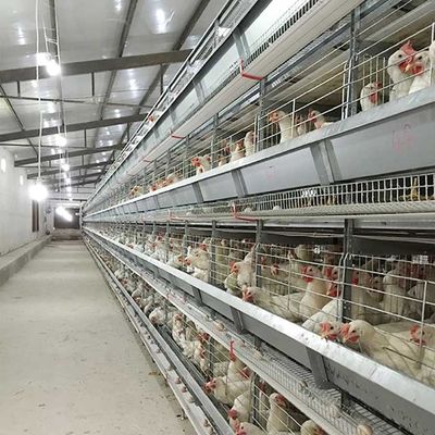 сбережения Эко режима автоматического управления клетки цыпленка птицы 120 * 60 * 70км трудовые дружелюбное