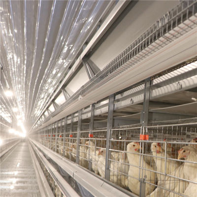 Сопротивляться корозии птицефермы клетки цыпленка слоя батареи яйца SGS