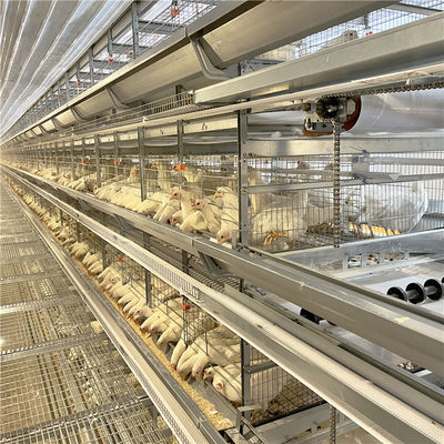 Клетка цыпленка слоя яйца сельского хозяйства птицы гальванизированная для 5000 птиц