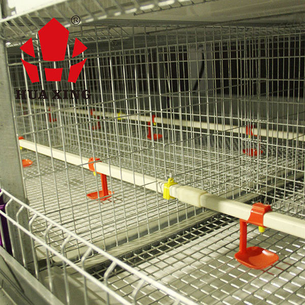 Автоматическая клетка цыпленка бройлера для животного Дурабле поголовья земледелия птицы