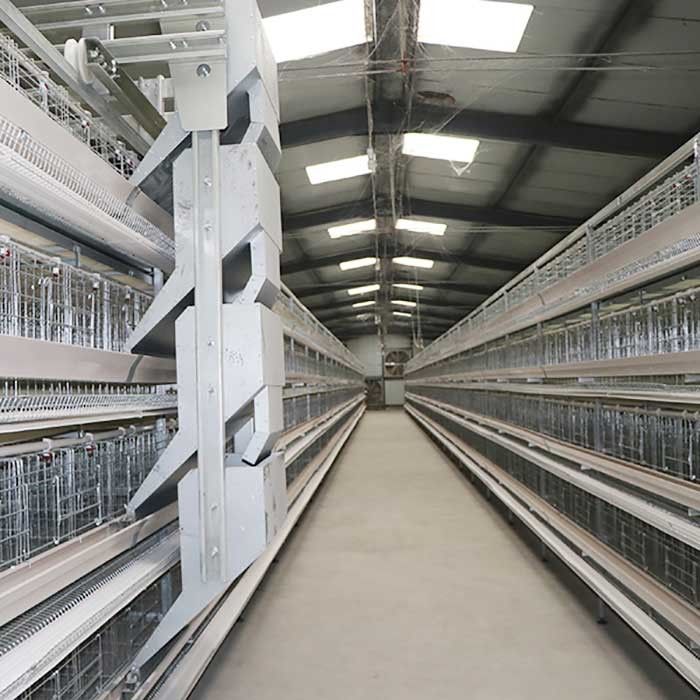 Птицы клетки 90 до 160 цыпленка птицы высокой эффективности/рамка набора твердая