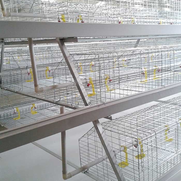 Клетка цыпленка бройлера сельского хозяйства тип 3 режим автоматического управления ярусов легкий для установки