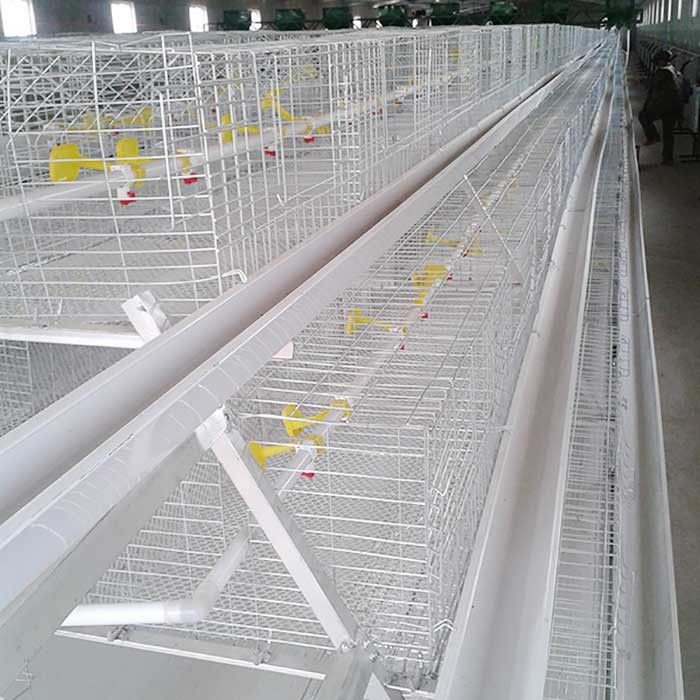 гальванизированные 0.75кв клетки цыпленка провода, автоматическое оборудование сельского хозяйства птицы слоя