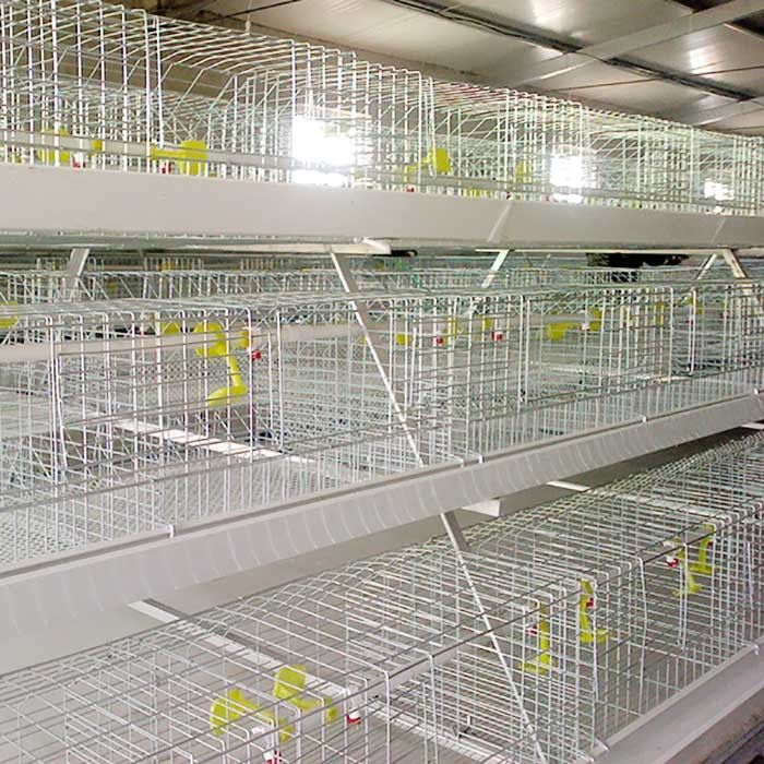 клетка цыпленка металла 0.75кв, автоматизированные клетки эксплуатируемые батареей управления для птицы