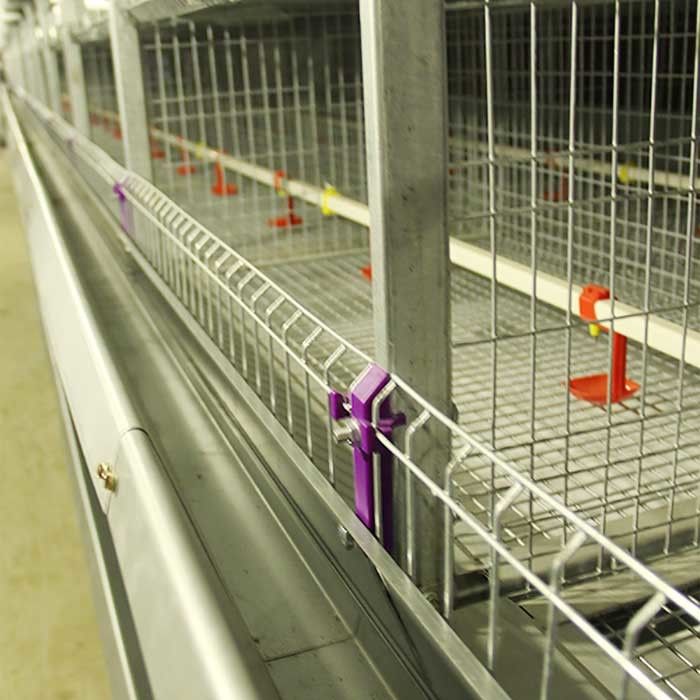 Автоматическая клетка для цыпленоков, клетка птицефермы слоя емкости 264 птиц