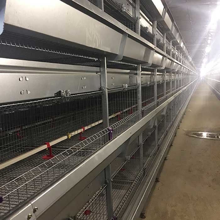 Сопротивляться корозии системы огнеупорной клетки цыпленока младенца автоматический выпивая