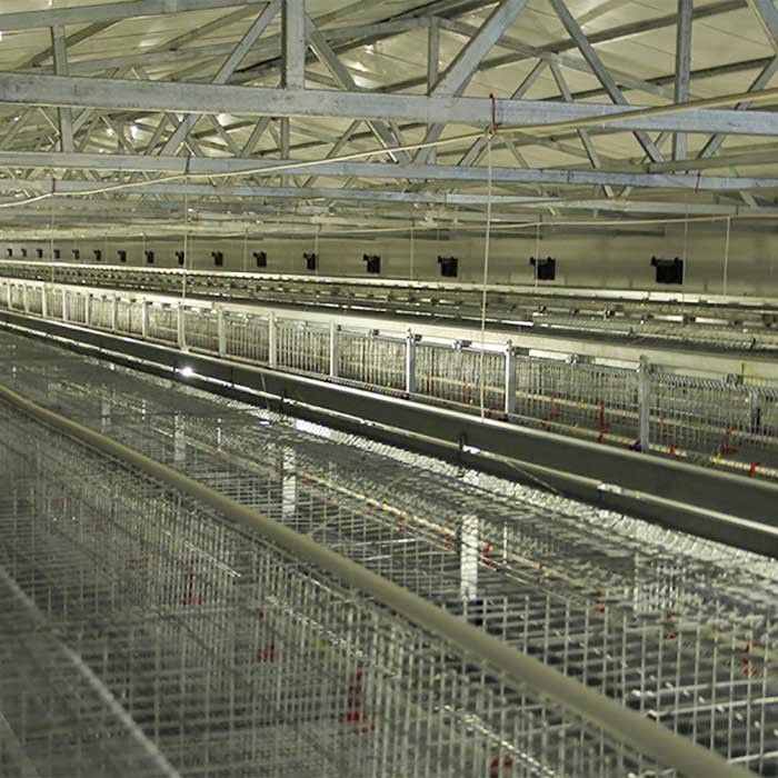 Оборудование сельского хозяйства птицы батареи, прочный тип 192 клетка х цыпленка младенца