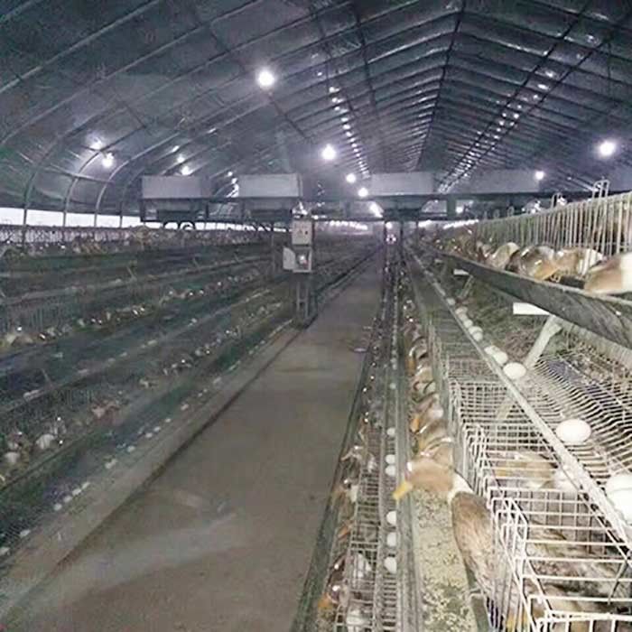 Размножение утки слоя цыпленка рамки обрабатывая землю клетка для птицефермы
