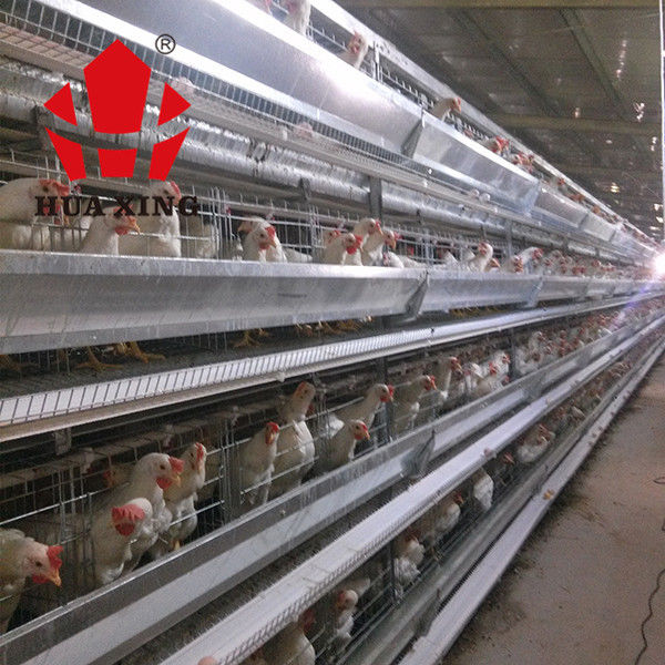 Изготовитель 90 клетки до 160 оборудований сельского хозяйства кладя курицы птиц горячих гальванизированных наслаивают клетку цыпленка