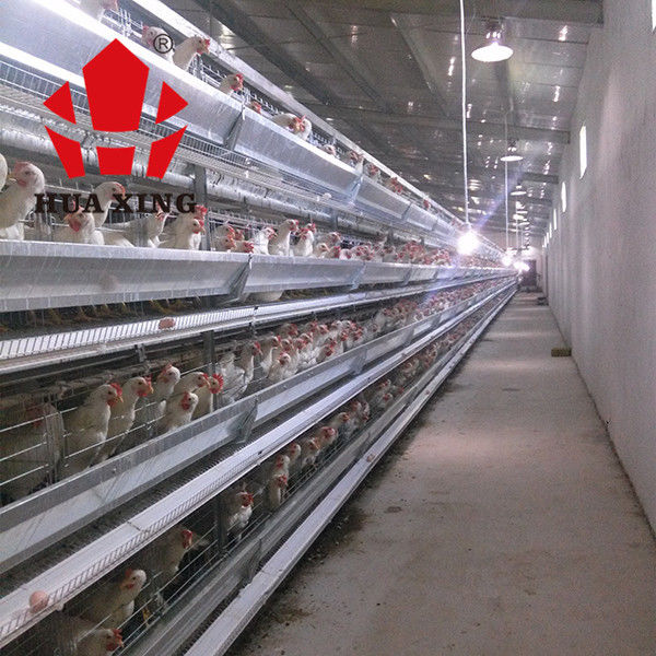 Изготовитель 90 клетки до 160 оборудований сельского хозяйства кладя курицы птиц горячих гальванизированных наслаивают клетку цыпленка
