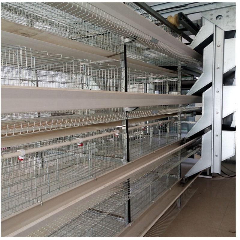 H печатает 128 птицам оборудование сельского хозяйства птицы клетки батареи 4 слоев
