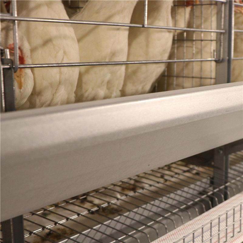 Сопротивляться корозии птицефермы клетки цыпленка слоя батареи яйца SGS