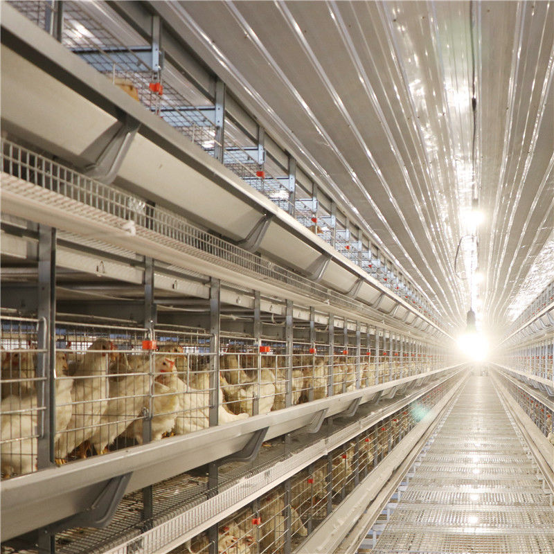 Клетка цыпленка слоя яйца сельского хозяйства птицы гальванизированная для 5000 птиц