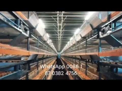 Broiler Chicken Cage Automatic Control Ventilation And Temperature